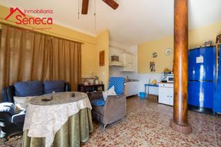 Chalet à Alcolea. Gran casa con tres viviendas independientes con 500 metros de te