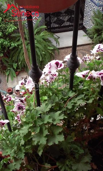 Foto bca5be21-eb48-42bd-bcb4-59d902f517c9. Maison avec chauffage parking piscine dans casco histórico - ribera - san basilio Córdoba