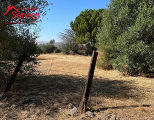 Propriété  Santa maria de trassierra km 5. Terreno  segregado en casilla del aire