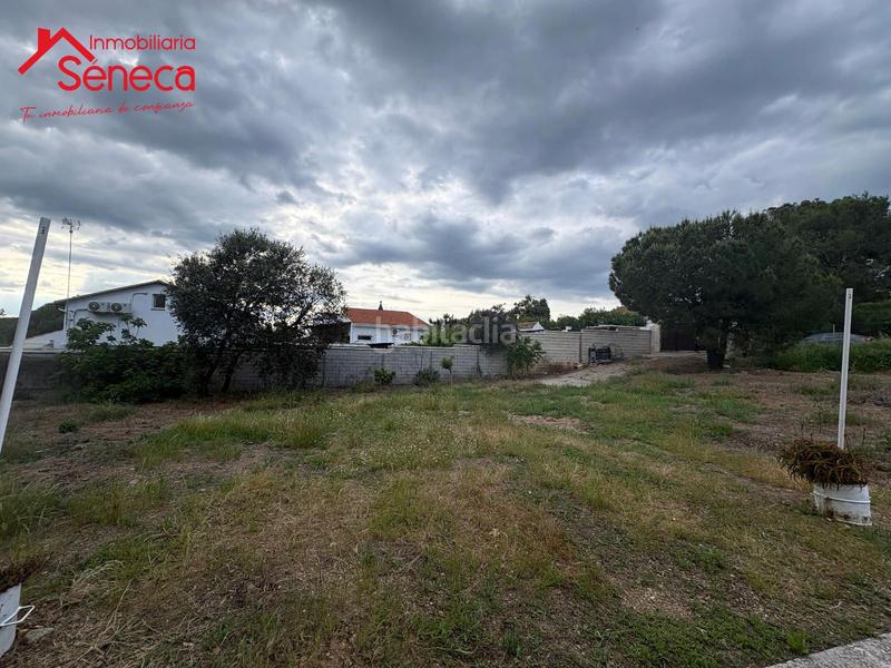 Foto a6786f5a-823d-419b-abbf-c947715f25f5. Fondo rustico in Obejo