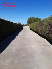 Propriété  Palma del rio km 8, parcelación la gorgoja. Parcelación  en la gorgoja
