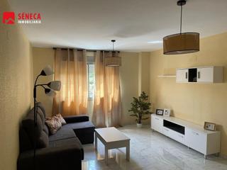 Appartement  Pintor aguilera amate. Piso en el vial