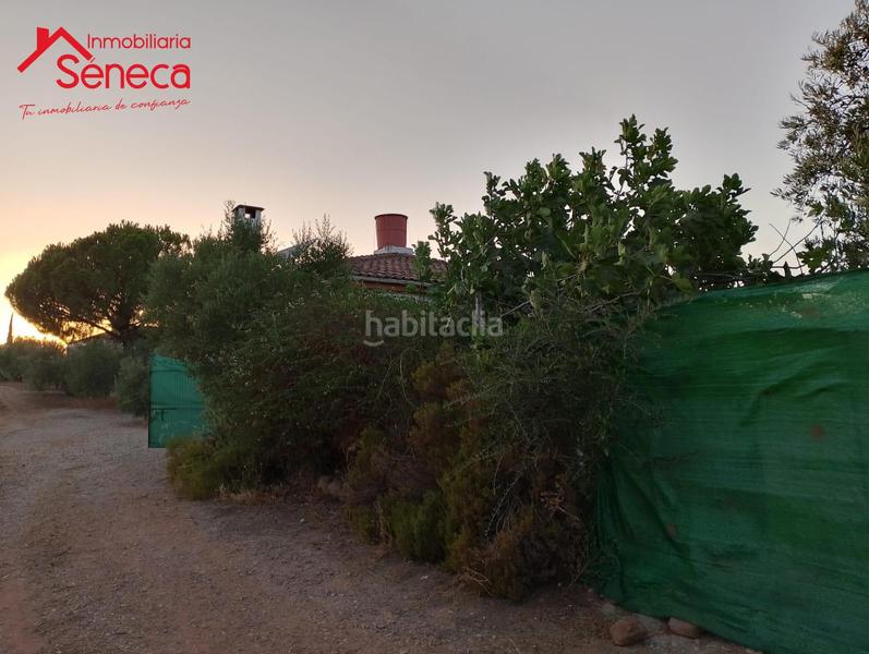 Foto 0a47efb4-bf26-42f2-ac6d-83f1a1b5593b. Casa con parcheggio in Montoro