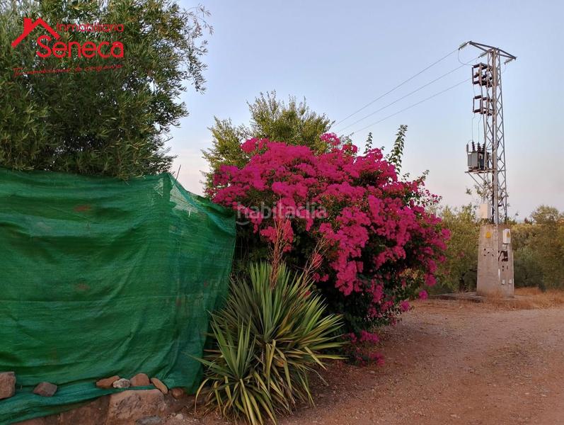 Foto 8885cf4f-5f72-4b31-b429-68ca58da4869. Casa con parcheggio in Montoro