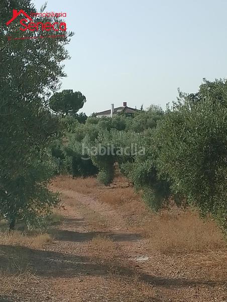 Foto a3ad1f4c-996d-4e8c-87d4-1af65d342b10. Casa con parcheggio in Montoro