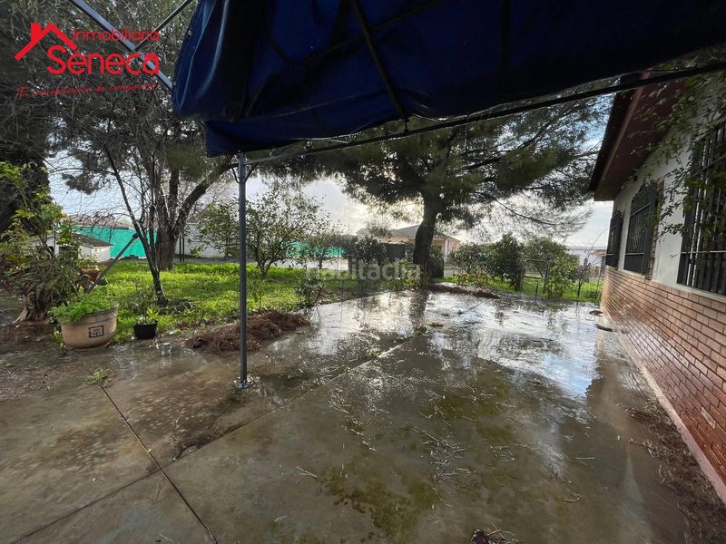 Foto 2dca1672-7e99-4820-8e13-a94ee0ee1b13. Xalet amb calefacció aparcament piscina a El Higuerón Córdoba