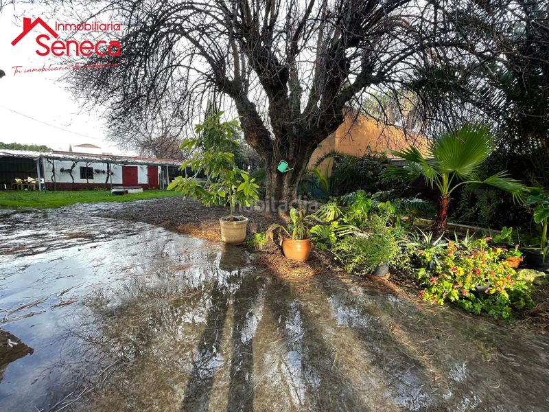 Foto 7bb636e2-d8e6-4ecd-b0ea-f09222985ec9. Xalet amb calefacció aparcament piscina a El Higuerón Córdoba