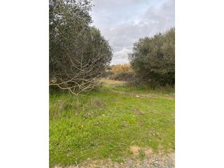 Fondo rustico in San Bartolomé de la Torre. Venta finca rústica junto a san bartolomé de la torre