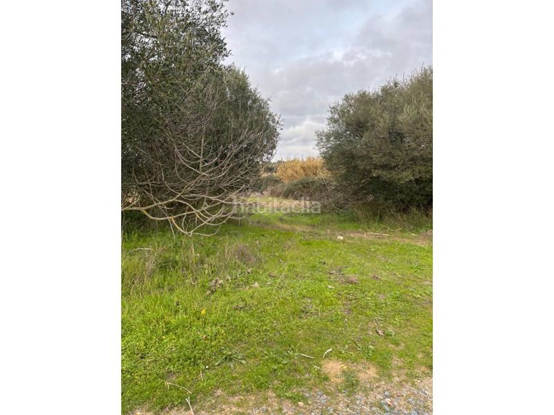 Foto ddbe4804-ae0e-40f1-8c34-7a2cce51426c. Finca rústica a San Bartolomé de la Torre