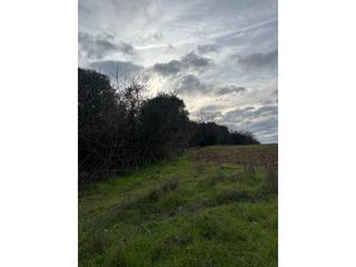 Fondo rustico in San Bartolomé de la Torre. Venta finca rústica junto a san bartolomé de la torre