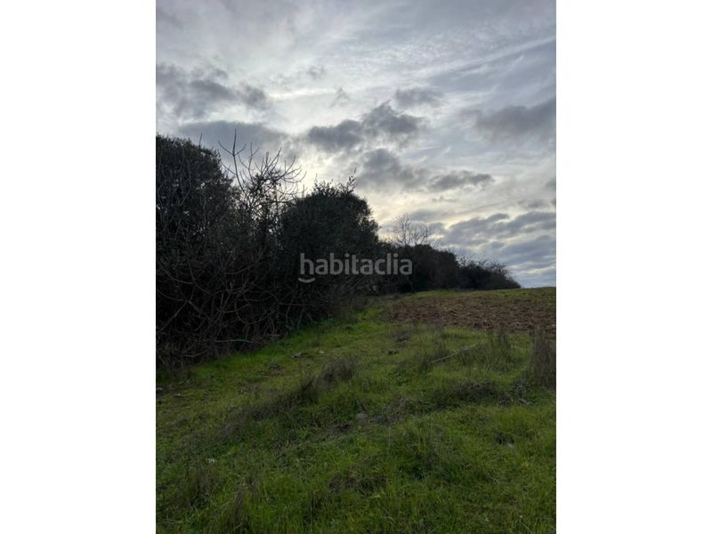 Foto 6a09561c-8128-4102-9302-afac6e179608. Finca rústica a San Bartolomé de la Torre