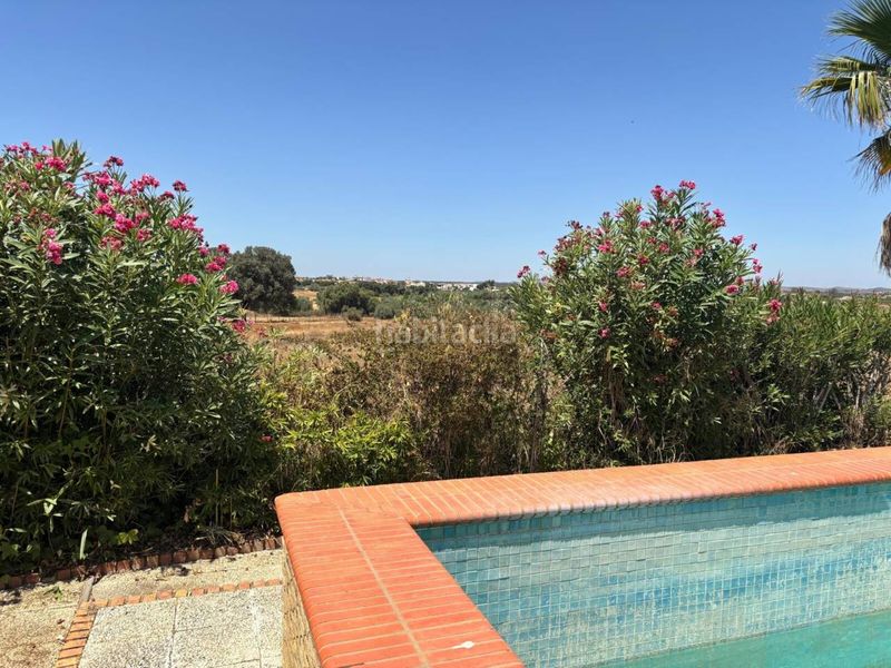 Foto 9b152ed2-44dd-4836-9ce7-b70df50b6e28. Mas avec parking piscine dans San Bartolomé de la Torre