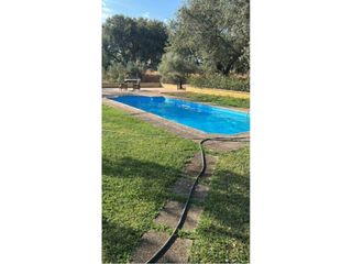 Chalet à San Bartolomé de la Torre. Venta de finca rustica con casa, piscina, y almacén al sitio de
