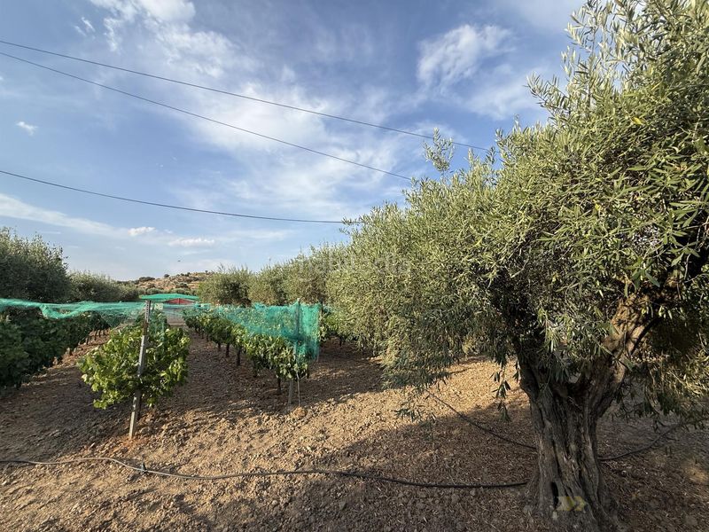 Foto d6b64f0b-5c56-4515-9613-77634426c211. Casa amb aparcament piscina a Santa Amalia