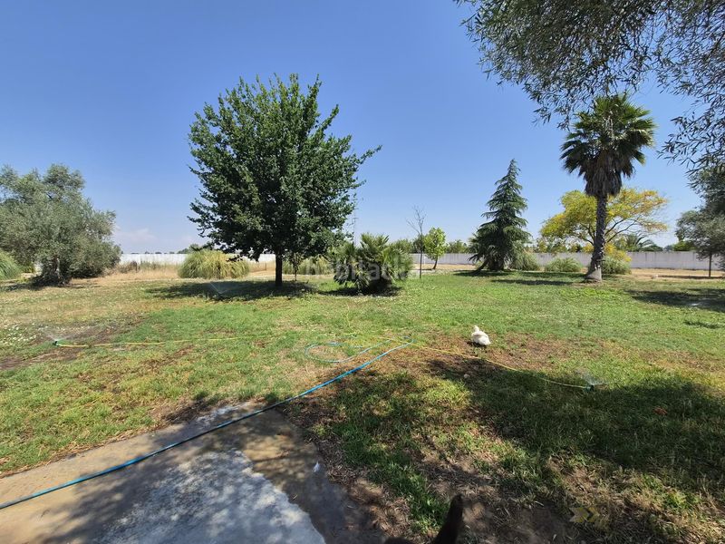 Foto af5484bf-4d2f-4eed-bc4c-a9ce28201122. Chalet  en Las Vaguadas Badajoz