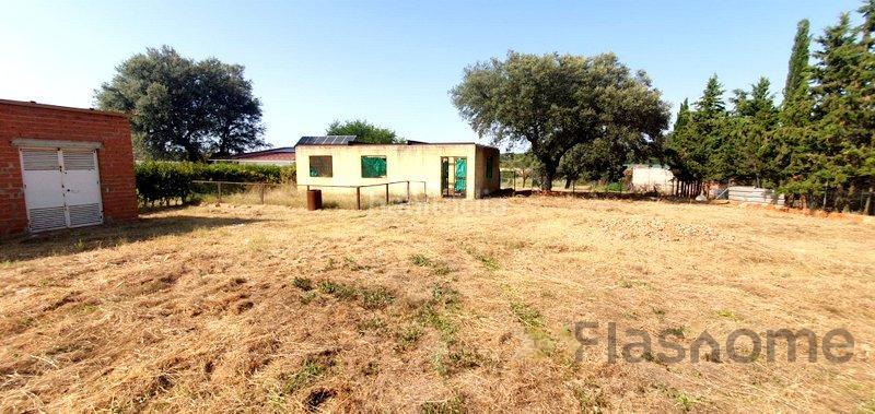 Foto e37c9141-0ce5-46fa-a380-ade90667530b. Terrain résidentiel dans Carretera de Sevilla - Los Montitos Badajoz