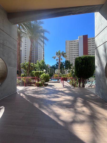 Foto 037717cb-8c06-45d5-a5d7-56617e5cb5e4. Appartement in avenida de andalucía 11 in Juzgados - Plaza de Toros Benidorm