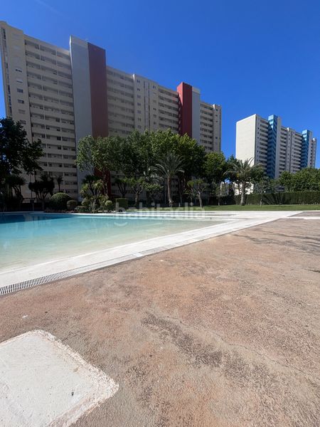 Foto c55397a5-1ae9-495d-a244-c98ffbdfcbe8. Appartement in avenida de andalucía 11 in Juzgados - Plaza de Toros Benidorm