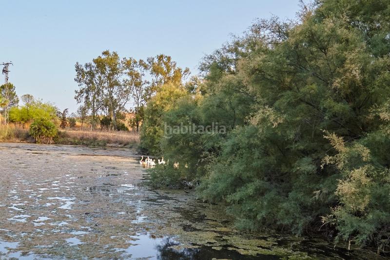 Foto 66b2b631-31a1-4f4e-a566-21b21e45ea22. Masia a cadimo 1 a Puente Tablas - Puente Nuevo - Cerro Molina Jaén