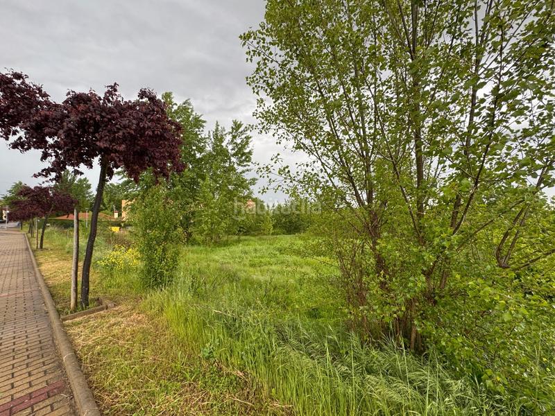 Foto dcec92ea-a45d-43ff-8299-610e0446be34. Terreno residenziale in calle de las bodegas 20 in Medrano