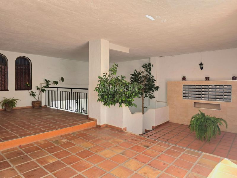 Foto 1151486e-b267-431b-a4f0-c25380e6dc56. Pis a calle palmito 1 a Parque de la Paloma Benalmádena