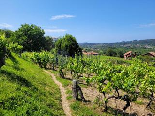 Residential Plot  San sebastian