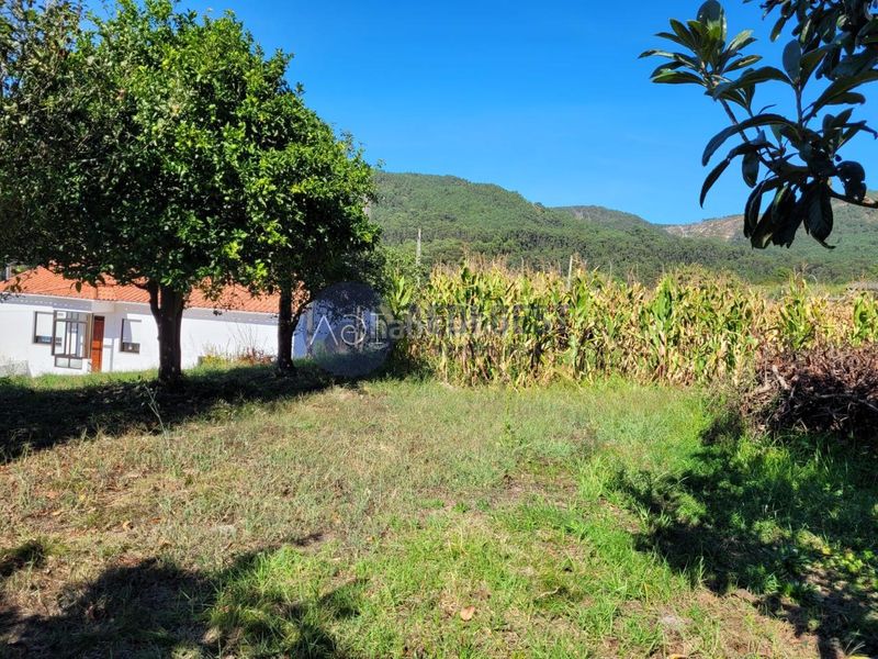Foto 1826f4b7-6ad8-422f-8cef-dde3ee57bce2. Terreny residencial a Oia