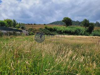 Residential Plot  Aldea tomada