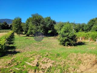 Terreno residenziale in Texosa