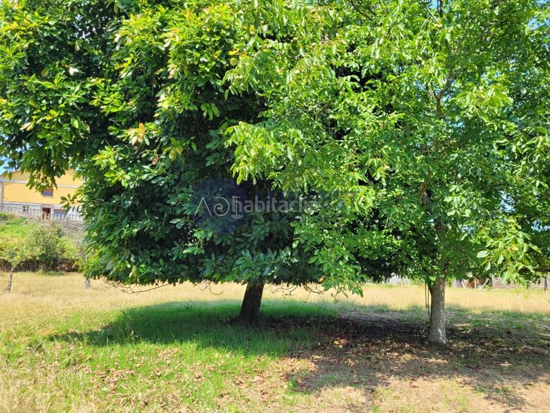 Foto 3367d8d2-621b-44d0-8c8e-50ef84e774ed. Terreny residencial a Baiona