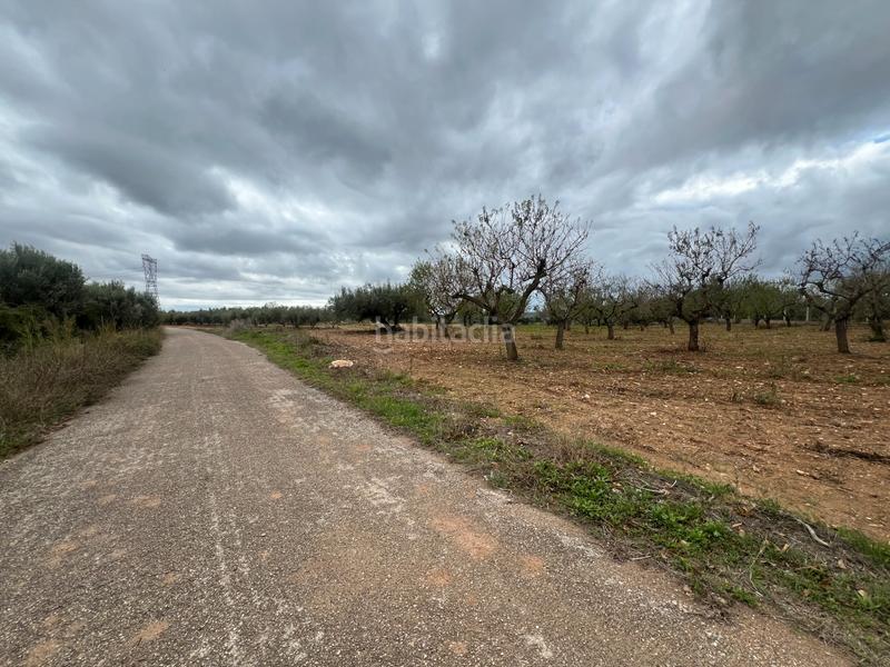 Foto 42480aa4-6b9c-48c2-b6e3-cdcac35628d6. Rural plot in n/a in Nulles