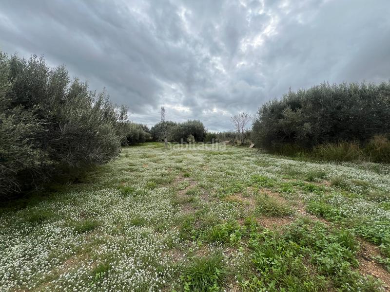 Foto 5a009140-de3d-48d2-8eb8-02d5e4a4c27c. Rural plot in n/a in Nulles