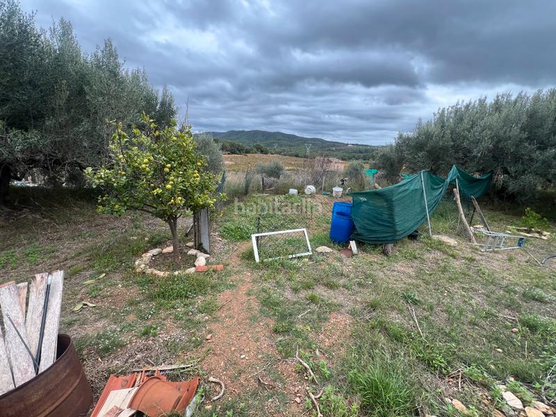 Foto 754b1ed7-f436-47b1-bc26-35f0101e81d4. Rural plot in n/a in Nulles