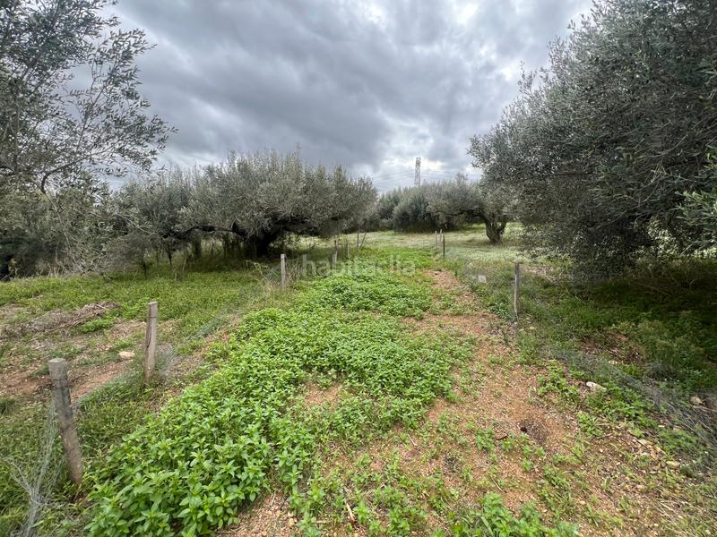 Foto beb58ff0-6059-4de5-9a21-f9dba131c1f0. Rural plot in n/a in Nulles