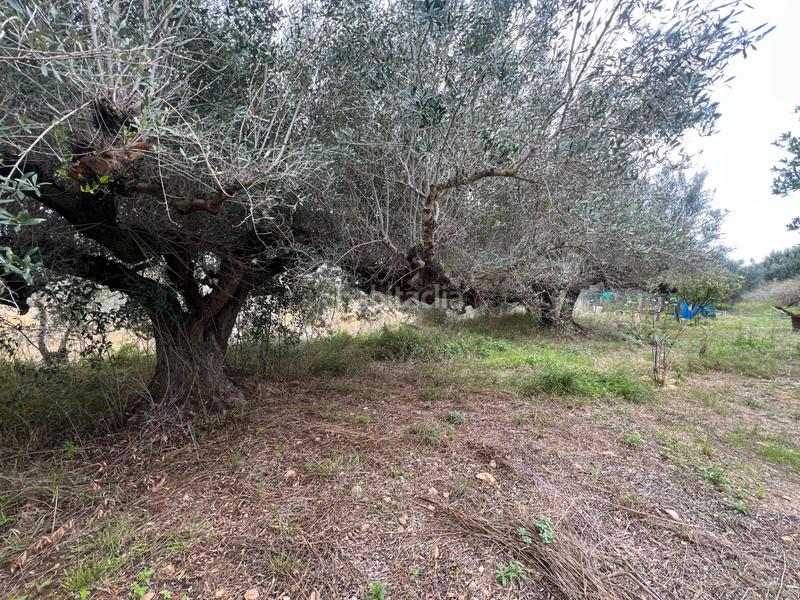 Foto bf85c64b-770a-4c73-8037-ab1f599e155d. Rural plot in n/a in Nulles