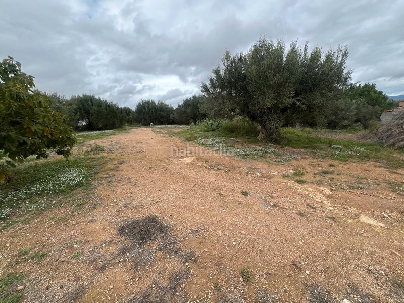 Foto ef69f296-c619-449a-a81f-b929e1854422. Rural plot in n/a in Nulles