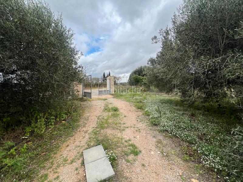 Foto f646d7d1-682f-444d-b392-9c068f7ef465. Rural plot in n/a in Nulles