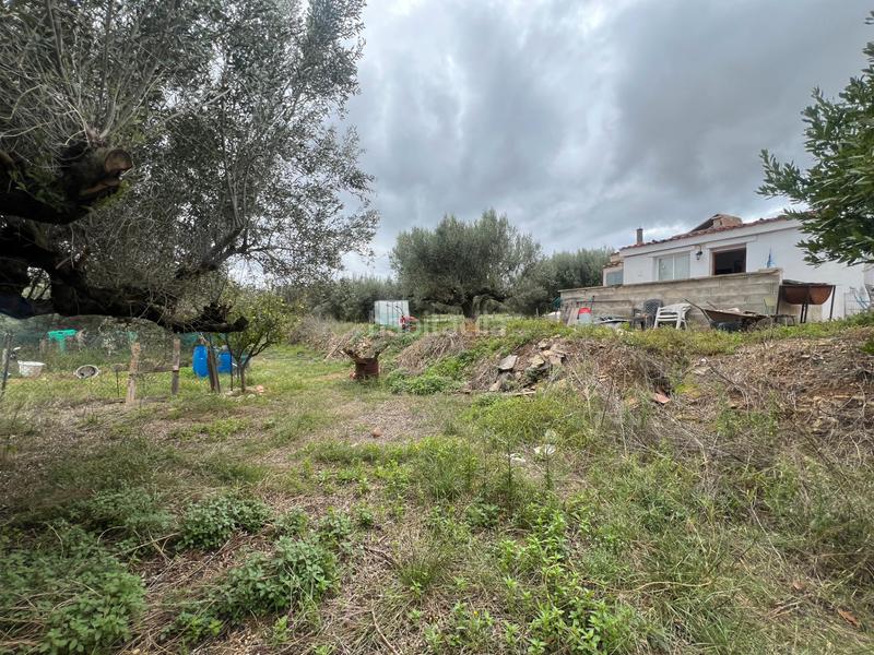 Foto fbd13a7f-8461-49b2-8f5b-1ee51999af34. Rural plot in n/a in Nulles