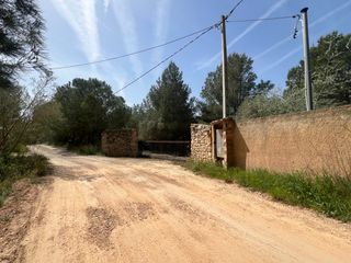 Mas�a en Cam� de l'aleixar 73. Finca r�stica en castellvell
