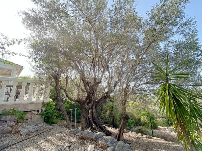 Foto f32d4591-9944-49d8-8d6d-5e03dd4dab0b. Xalet amb calefacció aparcament piscina a Orba