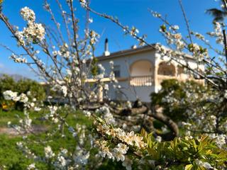 Chalet en Pedreguer