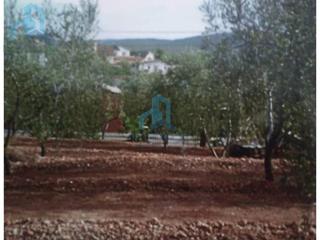 Terreny residencial  N/a. Terreno urbano en la bisbal del penedés