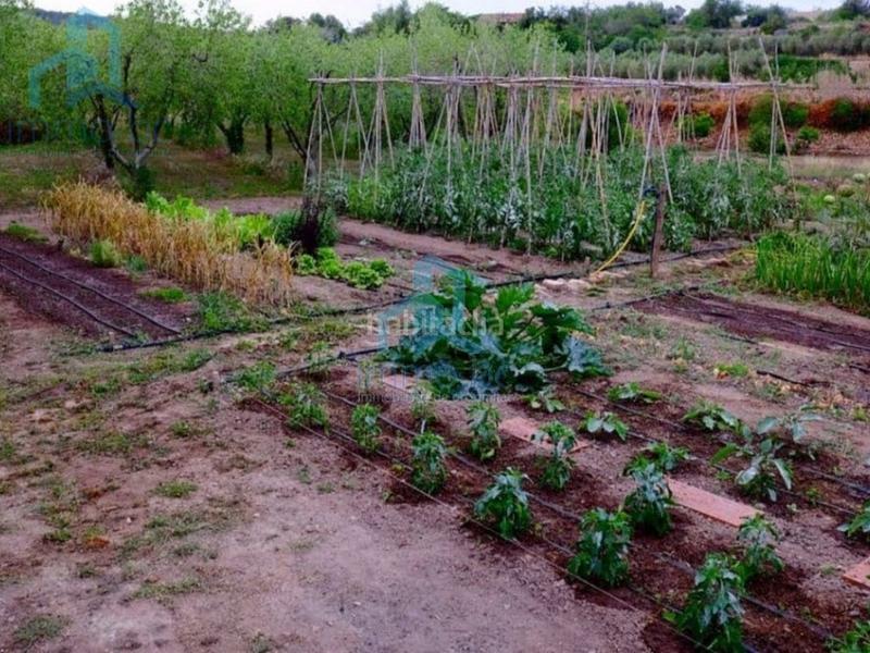 Foto 6b95f37e-4e53-4eeb-8cc3-5e0c5aa41291. Terreno residencial terrono en el catllar en Catllar (El)