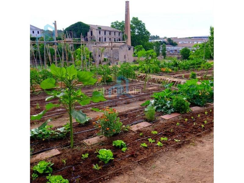 Foto 72d16c55-62e3-4acb-99c2-28bad4fdeac6. Terreno residencial terrono en el catllar en Catllar (El)