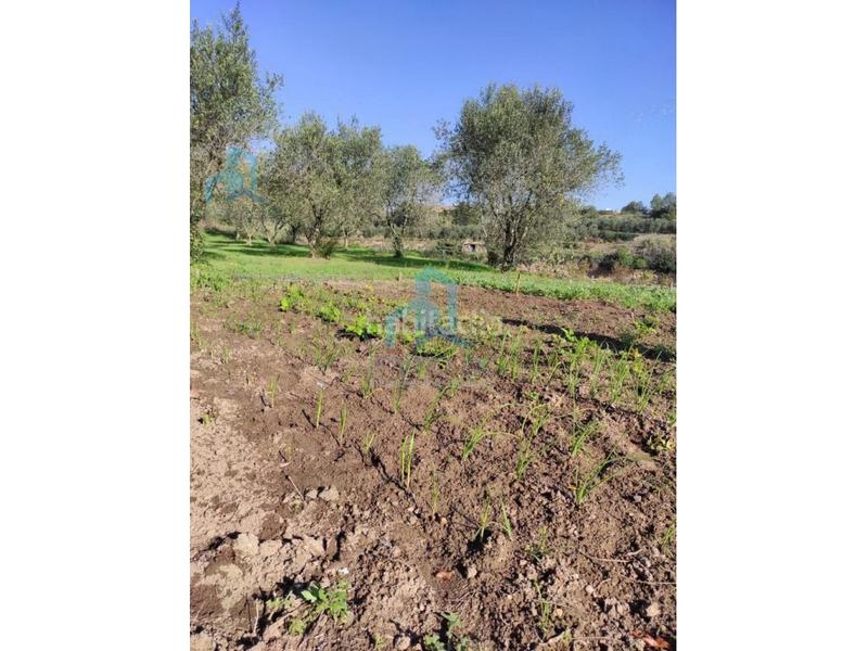 Foto 94727b18-a04c-4c10-b5ad-c2ec54935d57. Terreno residencial terrono en el catllar en Catllar (El)