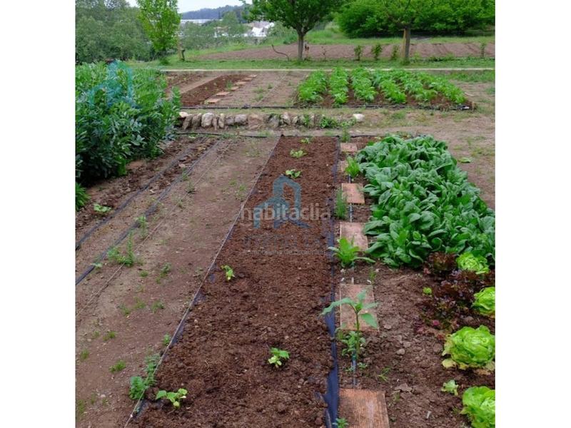 Foto b2d904b3-5ae5-4041-a667-69a541cccb1d. Terreno residencial terrono en el catllar en Catllar (El)