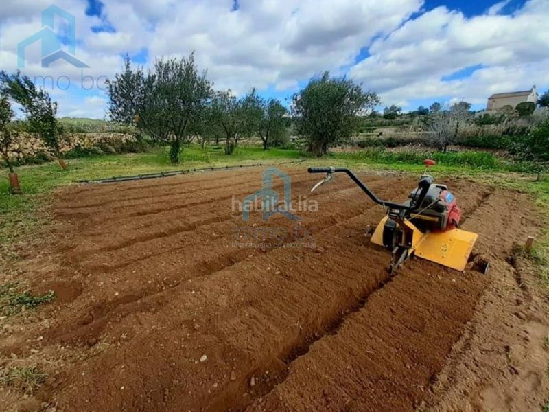 Foto e01b3726-8757-4a14-9a54-9b4f75614008. Terreno residencial terrono en el catllar en Catllar (El)