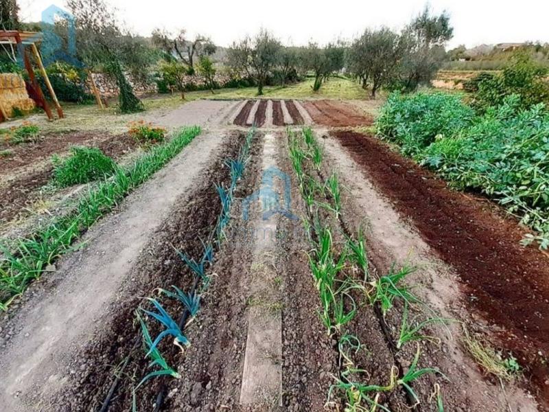 Foto f24f0070-c332-4a7d-a04c-20edf60cef4c. Terreno residencial terrono en el catllar en Catllar (El)