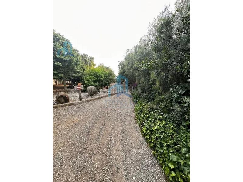 Foto 2dfe31cb-e49e-4d20-8ad9-68fe6d6dd716. Casale con parcheggio in Mestral Reus