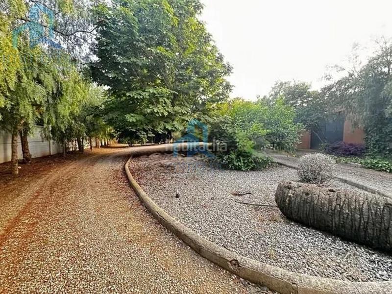 Foto 336485e6-df66-468e-8ba9-f0d52dc0c8a8. Casale con parcheggio in Mestral Reus